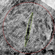 Georadar scan of a 1,000-year-old Viking ship found in Romsdal county in Norway
